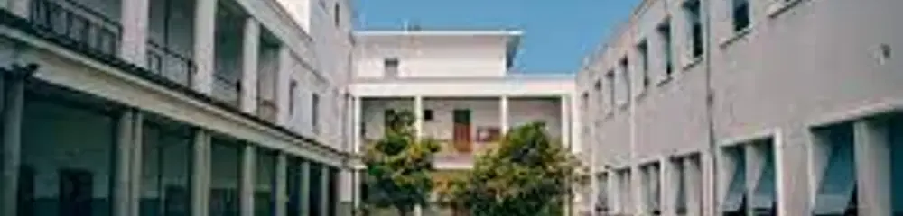 gallery 6