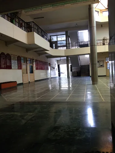 gallery 5