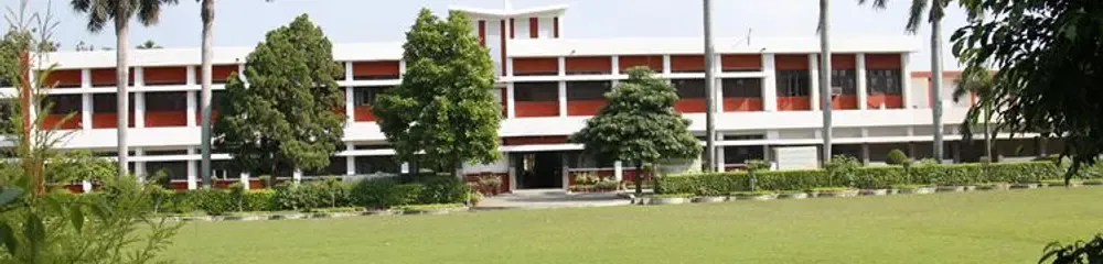 gallery 7