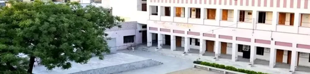 gallery 10
