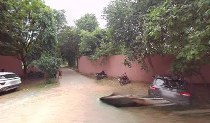 gallery 7