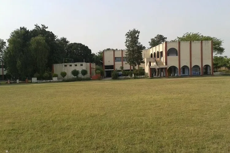 gallery 6
