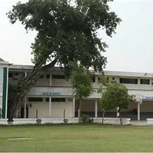 Gallery 4
