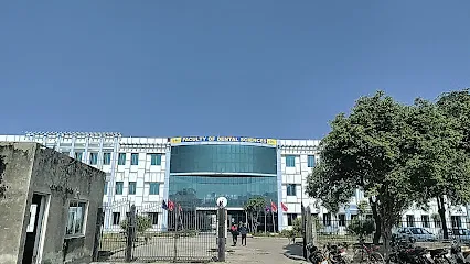 gallery 6