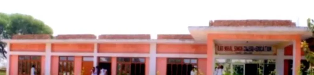 gallery 7