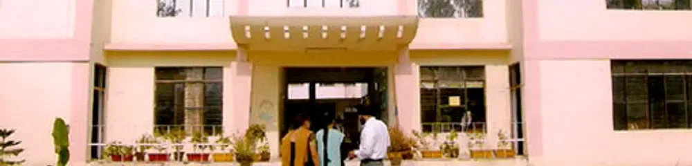 gallery 6