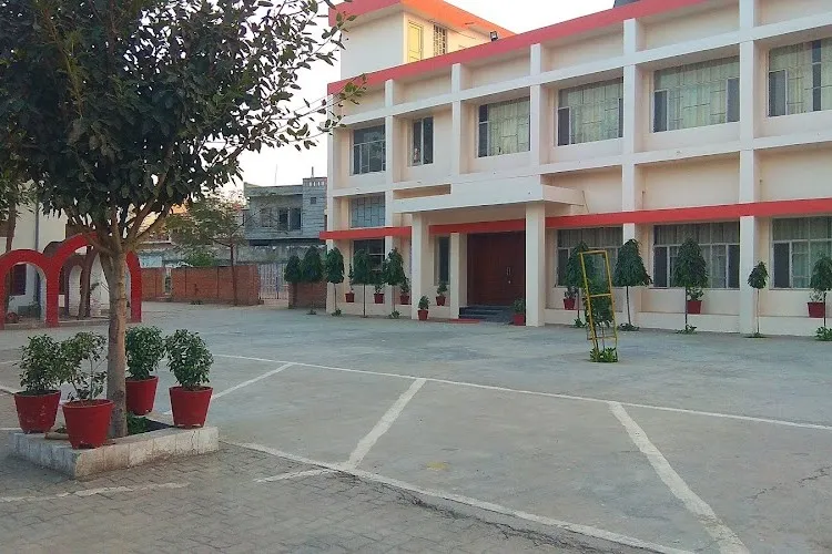 gallery 7