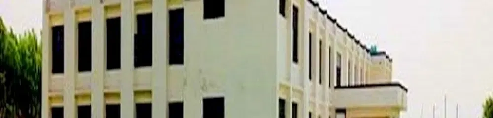 gallery 4