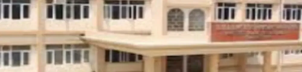 gallery 11