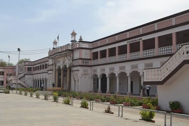 Gallery 5