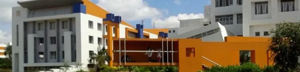 gallery 12