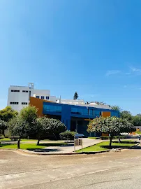 gallery 7