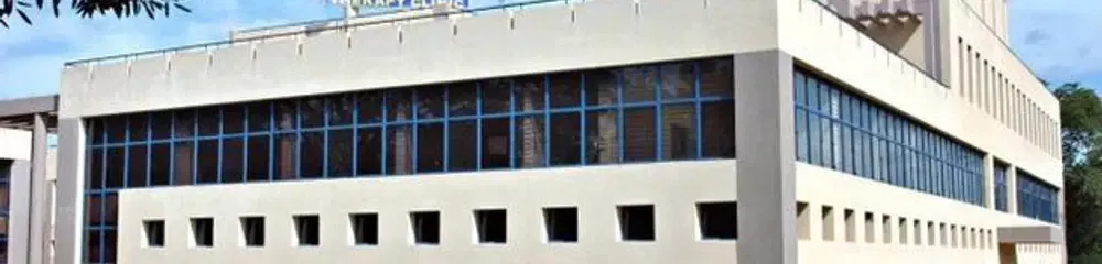 Gallery 5