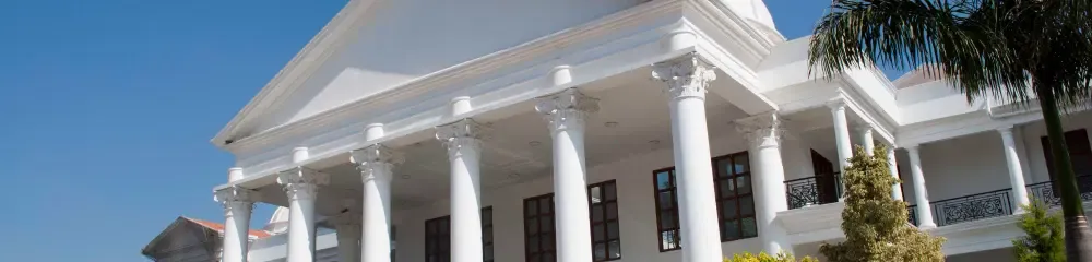 gallery 6