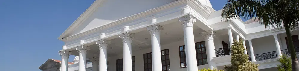 gallery 7