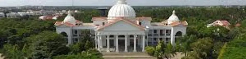 gallery 5