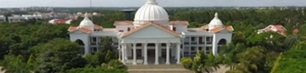 gallery 6
