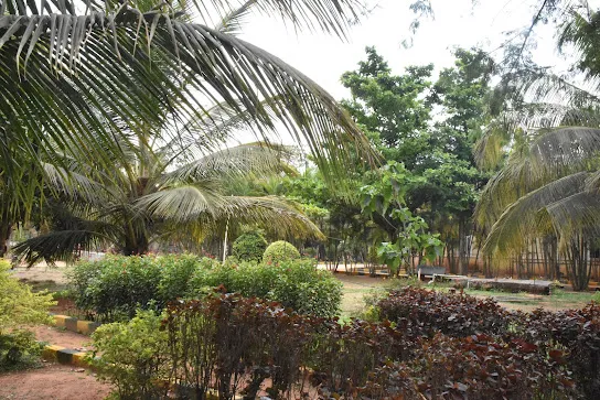 gallery 6