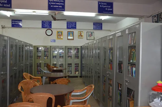 gallery 6