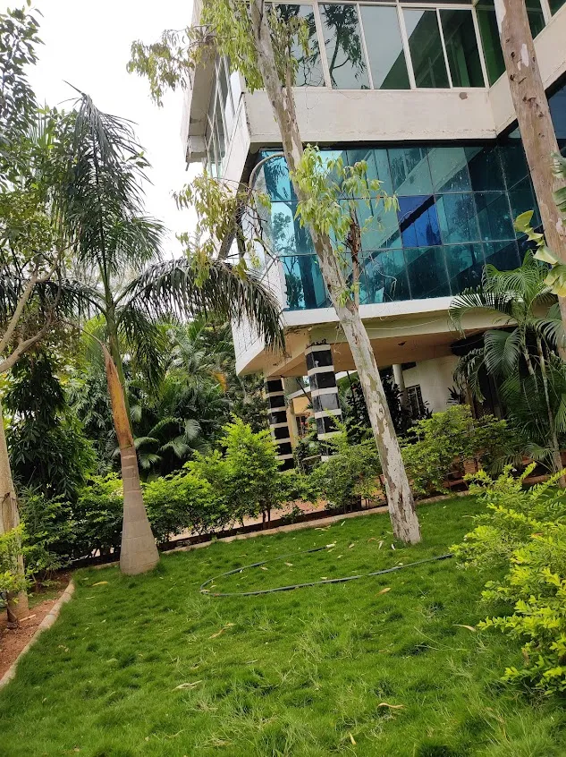 gallery 6