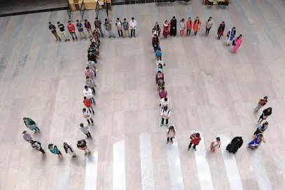 gallery 7