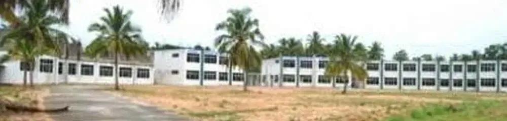 Gallery 5