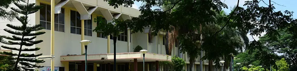 Gallery 5