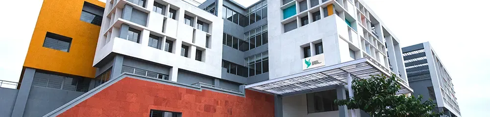 gallery 6