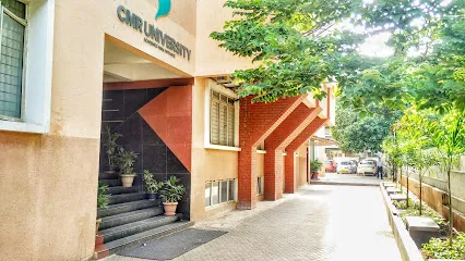 gallery 7