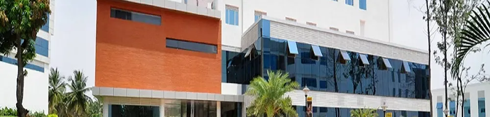 gallery 6