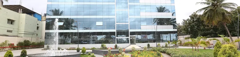 gallery 11