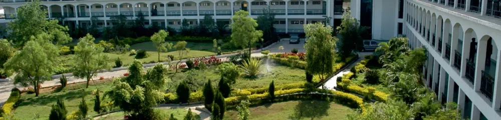Gallery 5