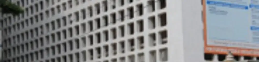 gallery 6