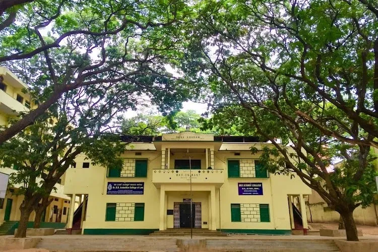 gallery 6