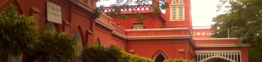 gallery 4