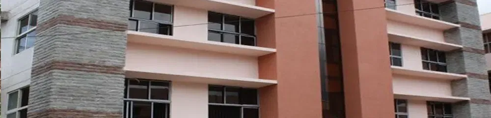 Gallery 5