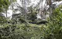 gallery 5