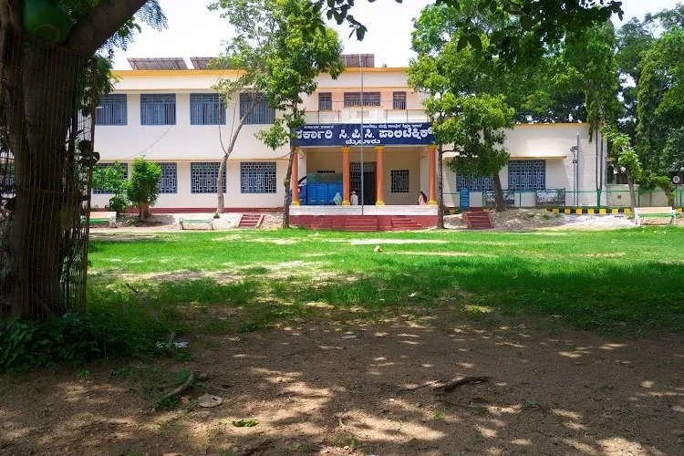 Gallery 5