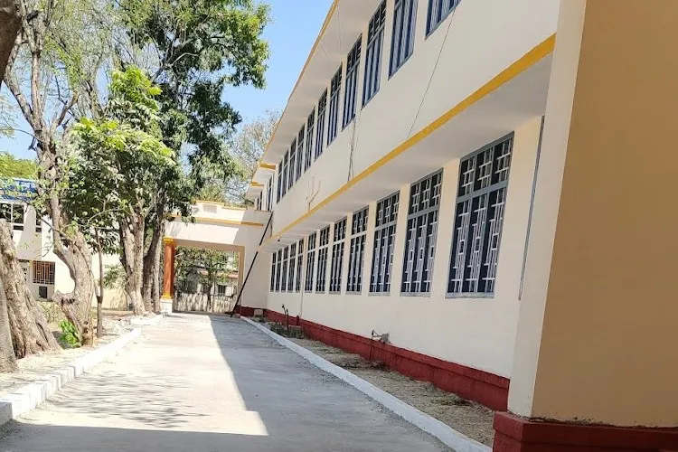 gallery 6