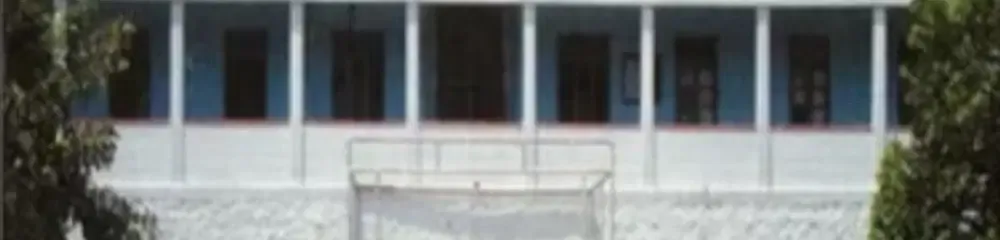 Gallery 4