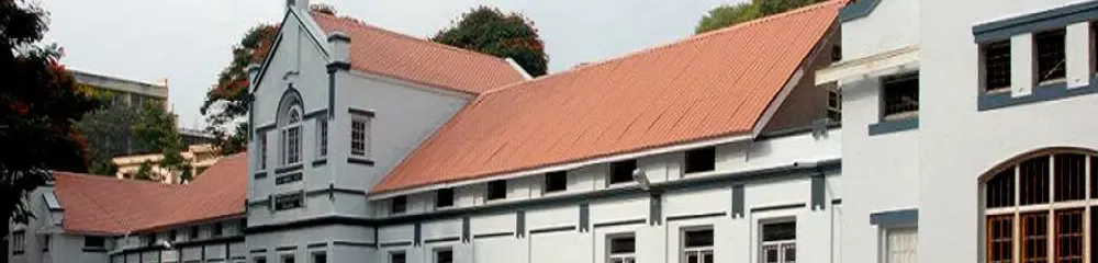 gallery 7