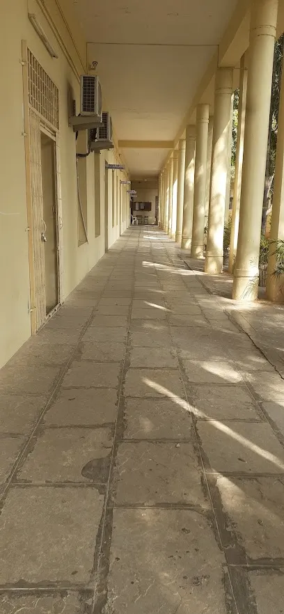 Gallery 4