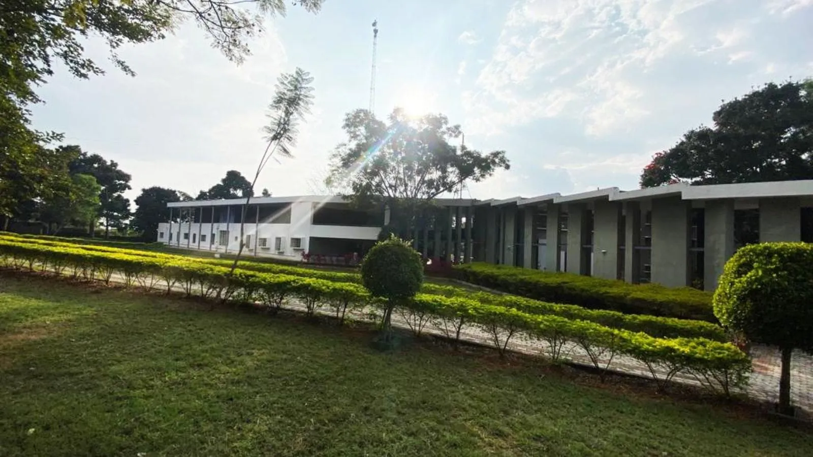Gallery 5
