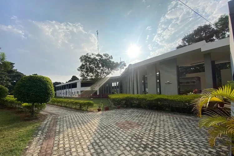 gallery 6