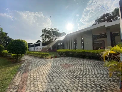 gallery 15