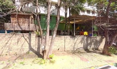 gallery 11