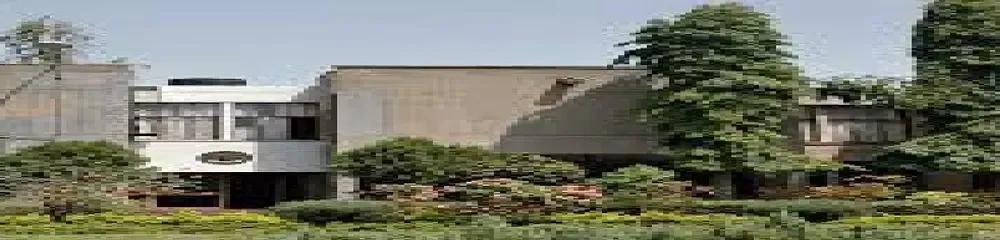 Gallery 5