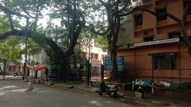 gallery 6