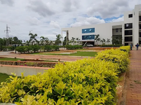 gallery 7