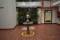 gallery 4
